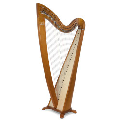 Harpe CAMAC, modele TELENN merisier