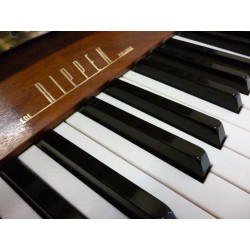 PIANO DROIT RIPPEN – Bondaz Transmusic